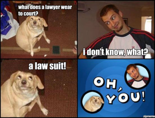 Lawyer Dog Meme Tumblr