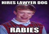 Lawyer Dog Puns