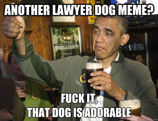 Lawyer Dog Puns