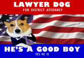 Lawyer Dog Puns