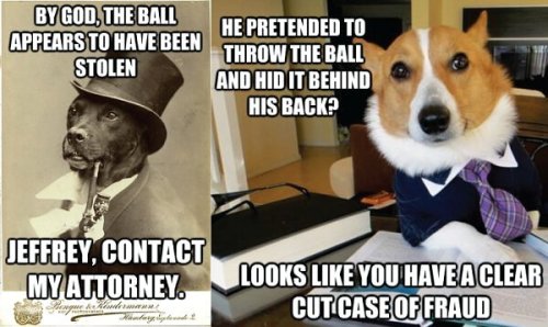 Lawyer Dog Reddit