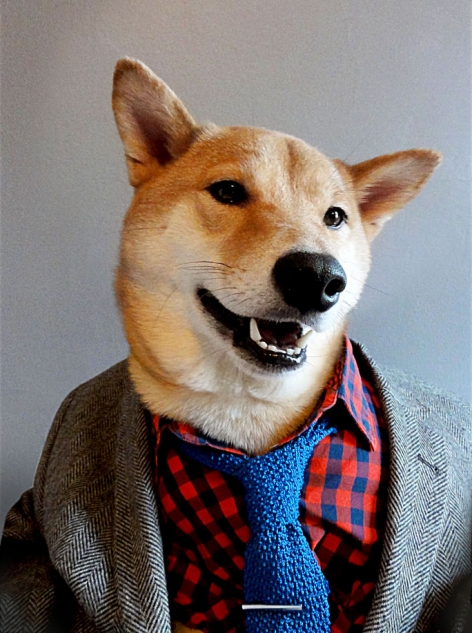 Lawyer Dog Tumblr