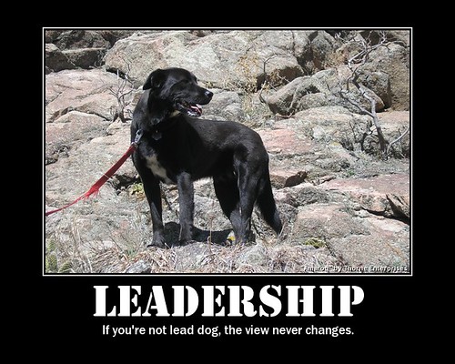 Leadership Posters