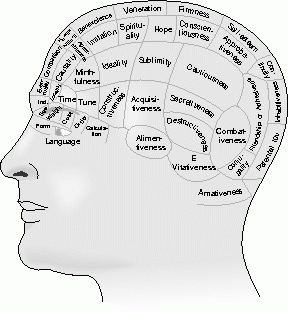 Left Frontal Lobe Function