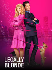 Legally Blonde The Musical Brisbane Dates