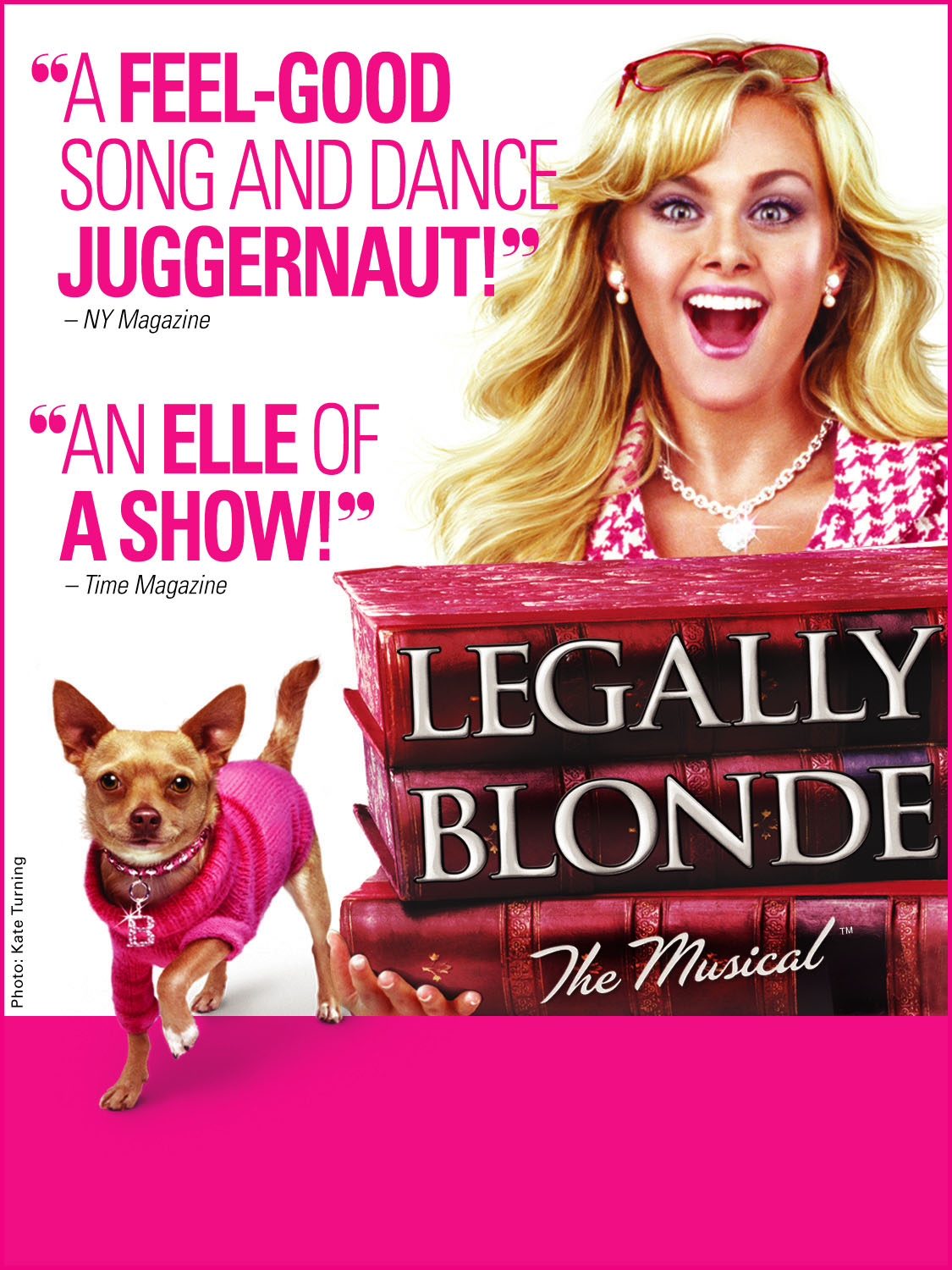 Legally Blonde The Musical Poster