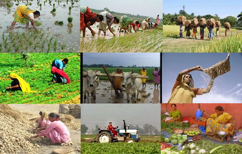 Life Style Of Farmers In India