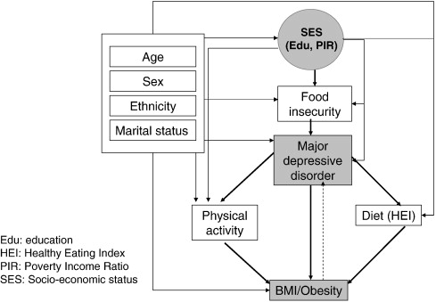 Lifestyle Factors Definition