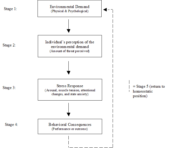 Lifestyle Factors In Sport Stress