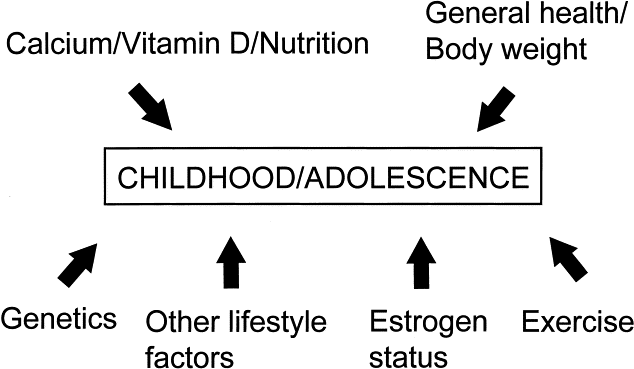 Lifestyle Factors That Affect Bone Growth