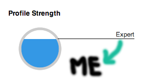 Linkedin Profile Strength Categories