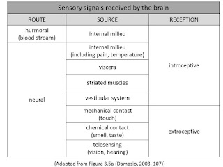 List Of Emotions And Feelings