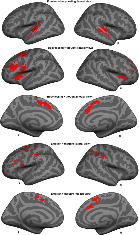 List Of Emotions And Feelings Pdf