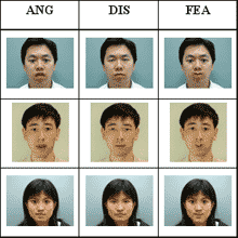 List Of Emotions With Faces