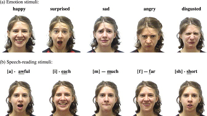 List Of Emotions With Faces