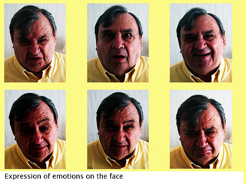 List Of Emotions With Faces