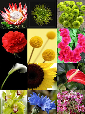 List Of Flowers