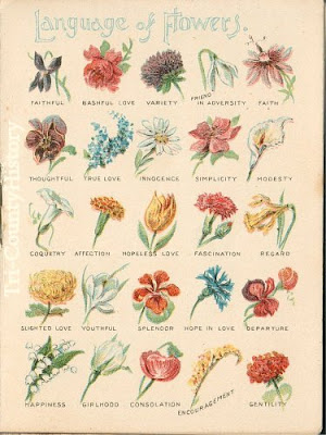 List Of Flowers And Their Names With Pictures