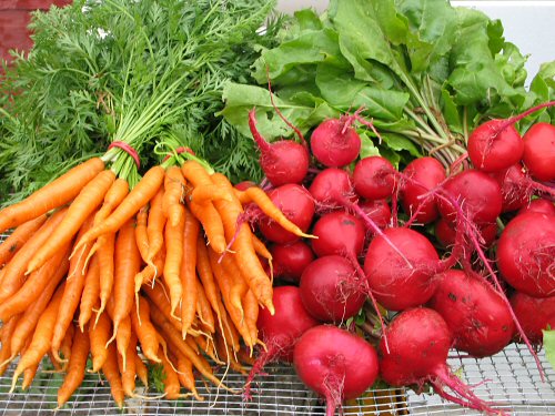 List Of Vegetables And Fruits In Season