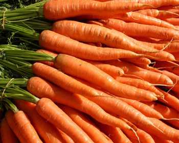 List Of Vegetables Name In English