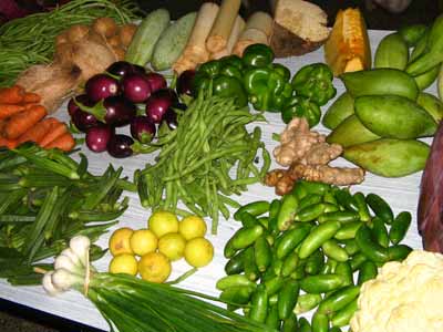 List Of Vegetables Name In Hindi