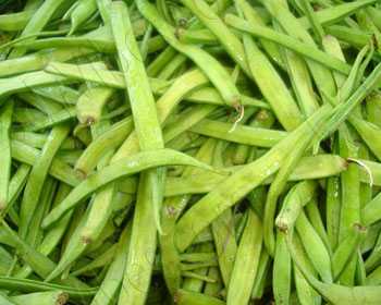 List Of Vegetables Name In Hindi