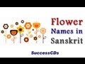 List Of Vegetables Name In Sanskrit