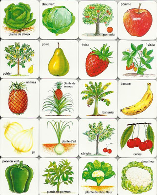 List Of Vegetables Name With Pictures