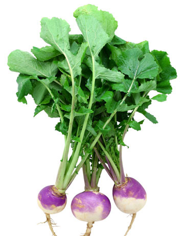 List Of Vegetables Names In Hindi And English