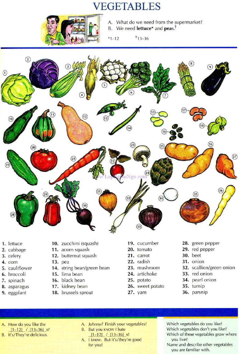 List Of Vegetables With Pictures