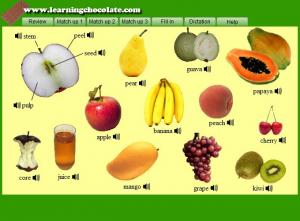 List Of Vegetables With Pictures And Names