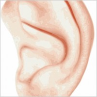Listening Ear Clip Art