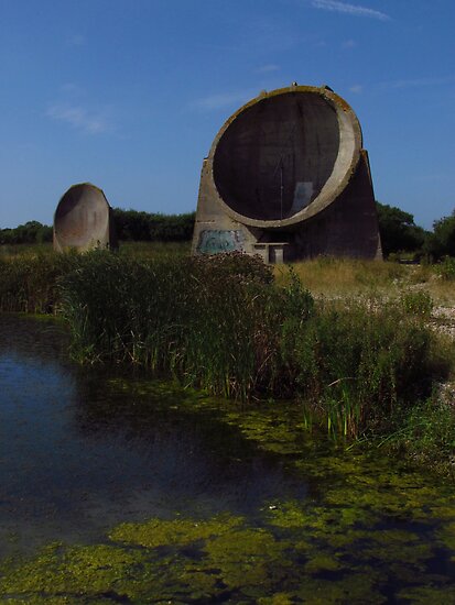 Listening Ears Dungeness