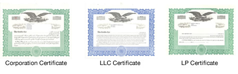 Llc Membership Certificate Sample