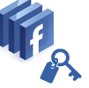 Login Facebook Icon