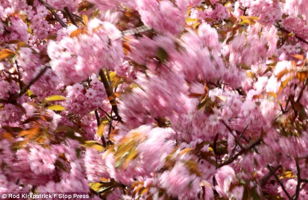 Long Range Weather Forecast Uk