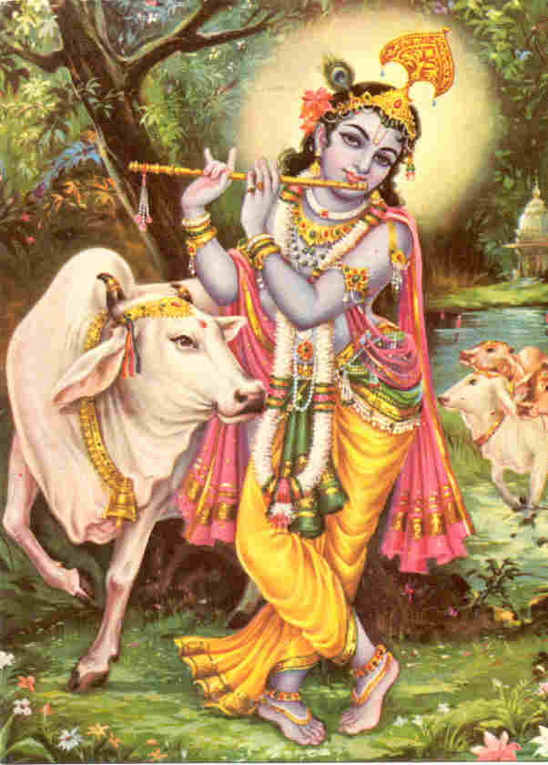 Lord Krishna With Cow Images