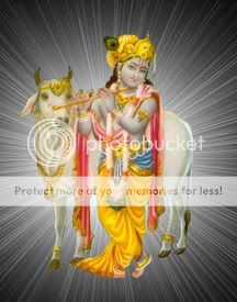 Lord Krishna With Cow Images