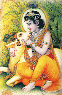 Lord Krishna With Cow Photos