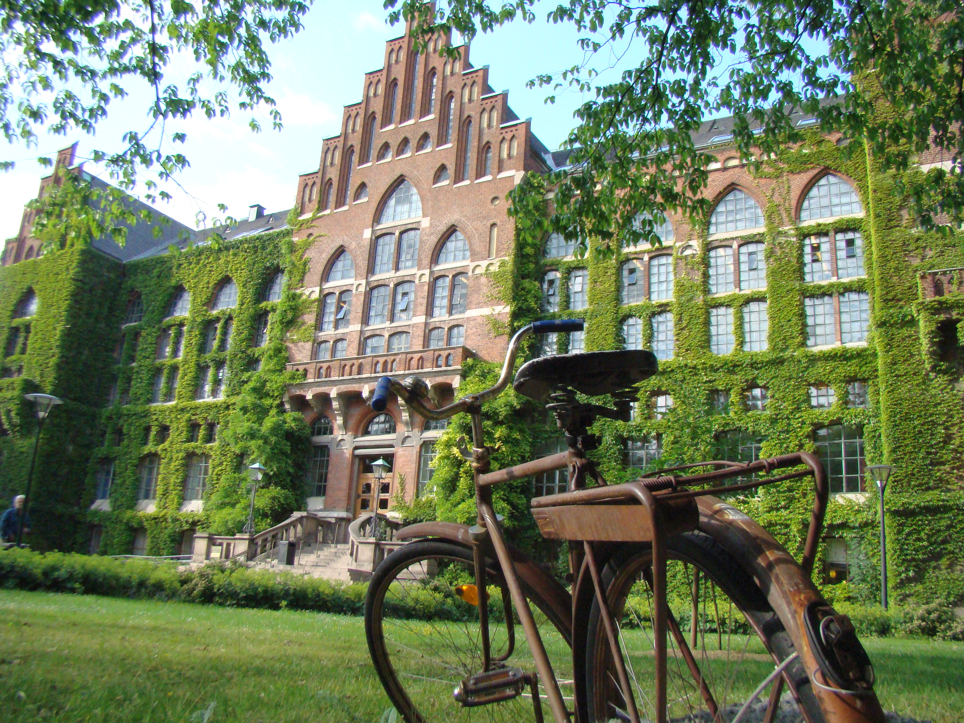 Lund University Library Opening Hours