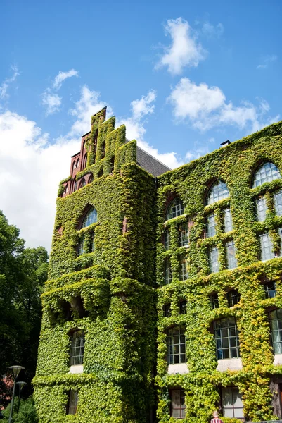 Lund University Library Opening Hours