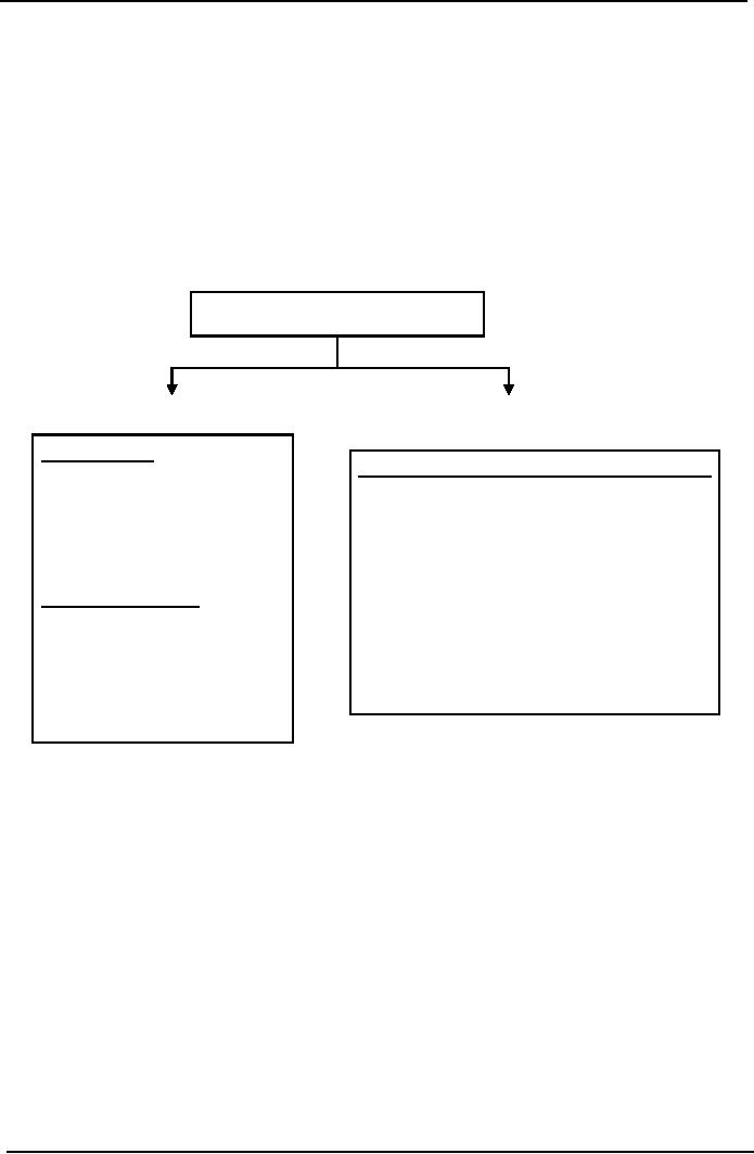 Management Accounting Reports Examples