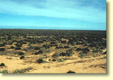 Map Of Australia Nullarbor Plain