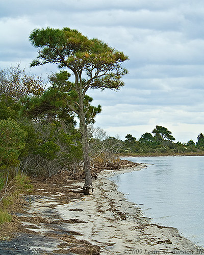 Masthead Island Camping