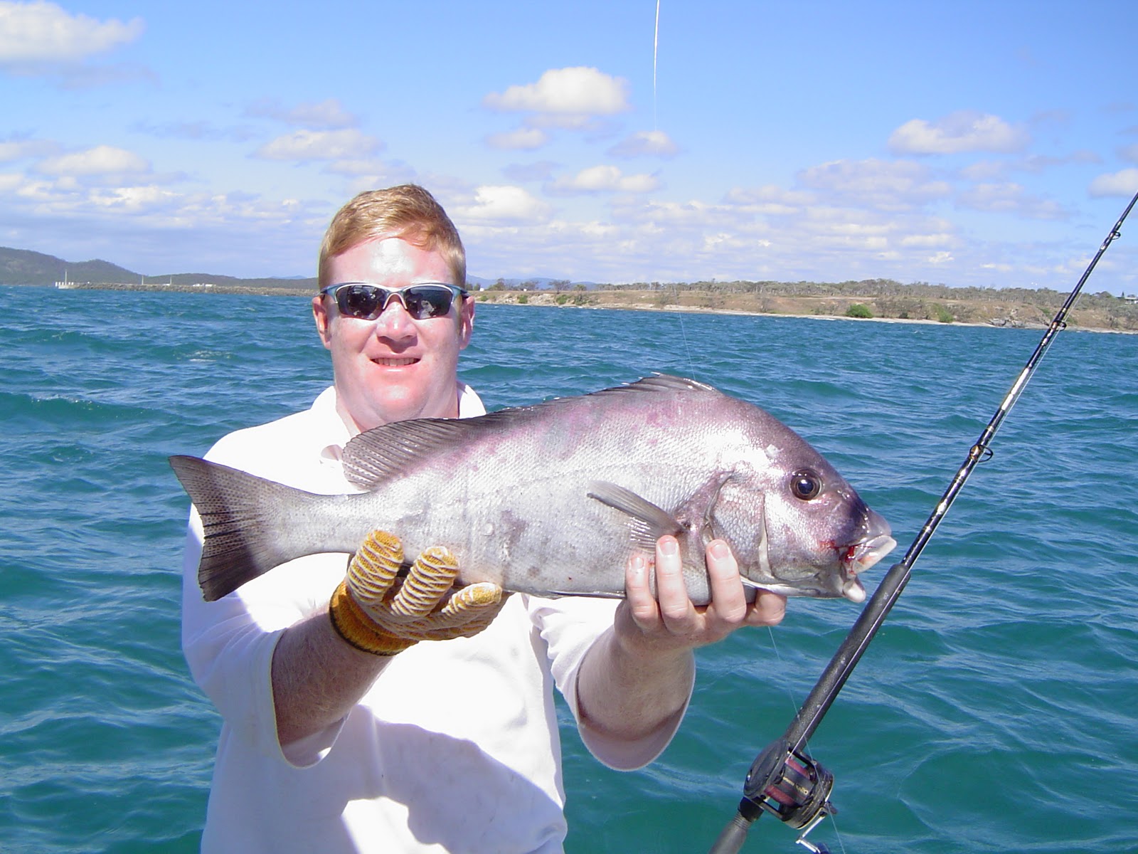 Masthead Island Fishing