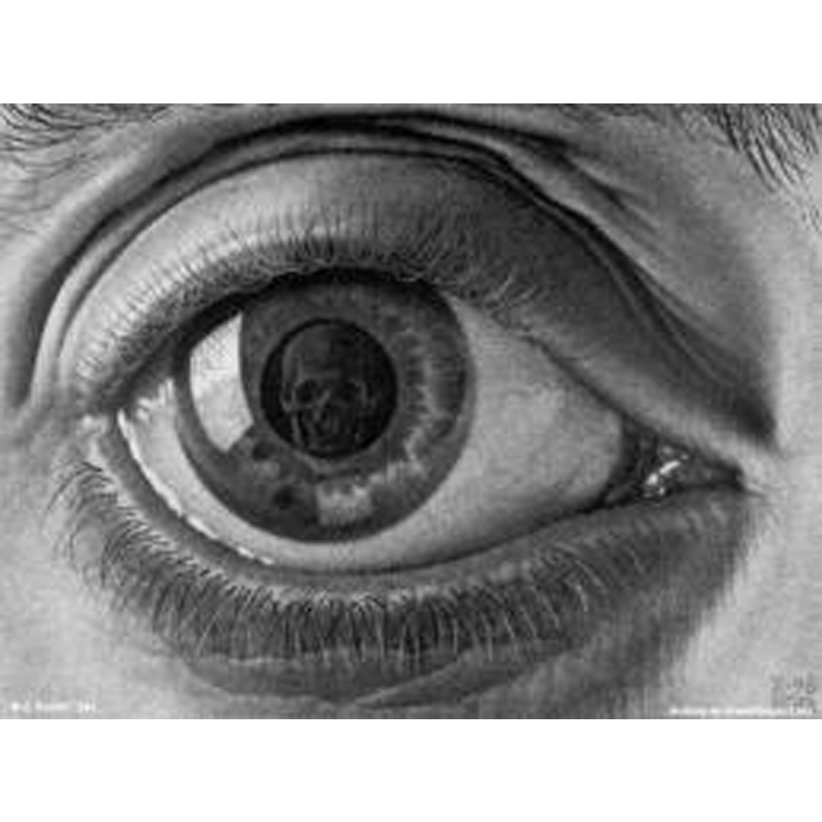 Mc Escher Eye