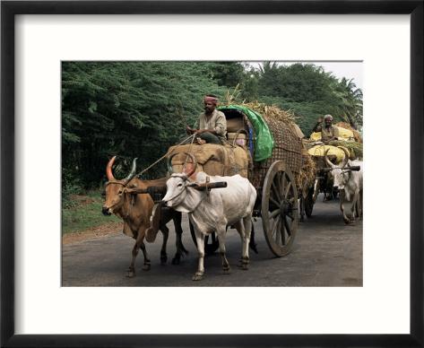 Means Of Transportation In India