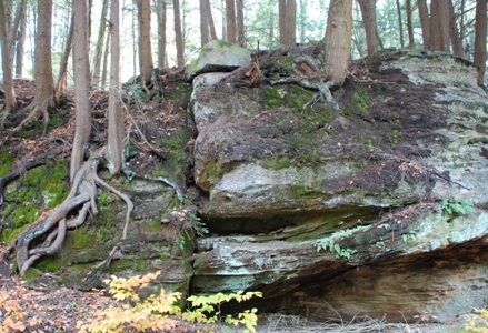 Mechanical Weathering Of Rocks