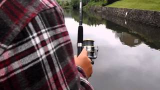 Method Feeder Fishing Youtube