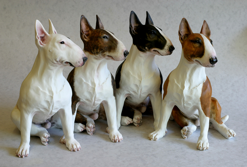 Miniature English Bull Terrier Puppies